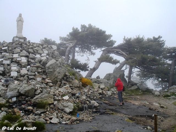 Corsica Corse