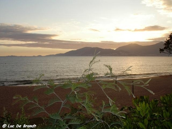 Corsica Corse