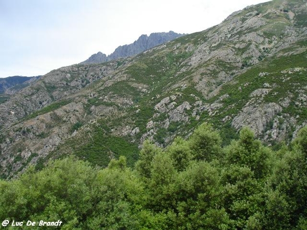 2010_06_22 Corsica 053 Col de Vizzavona