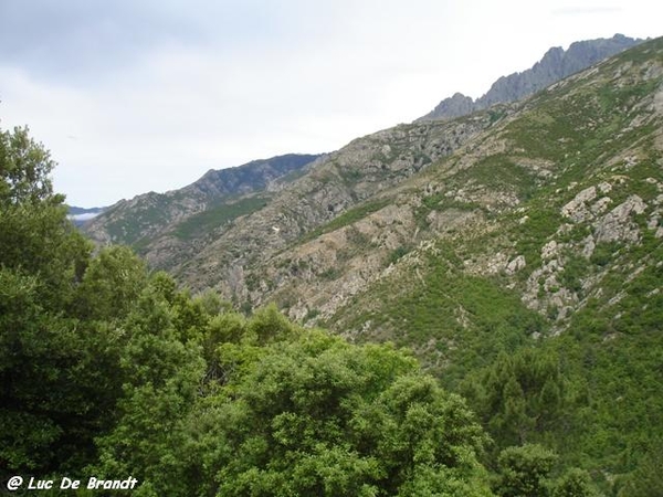 2010_06_22 Corsica 056 Col de Vizzavona