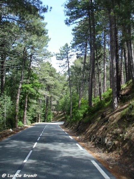 Corsica Corse