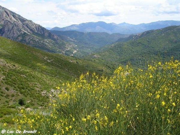 Corsica Corse