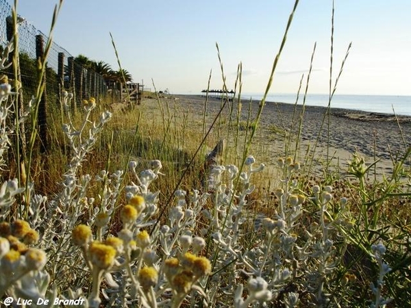 Corsica Corse