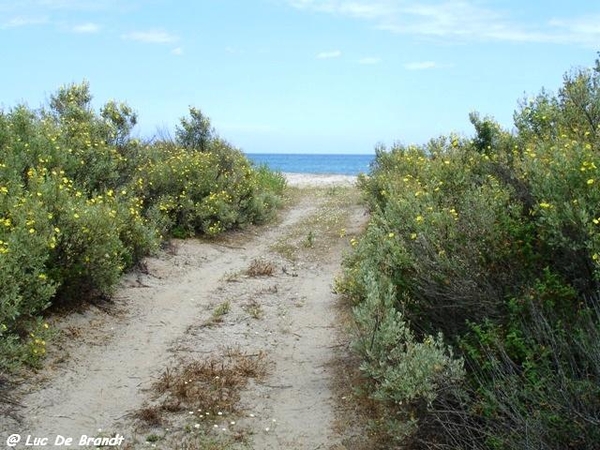 Corsica Corse