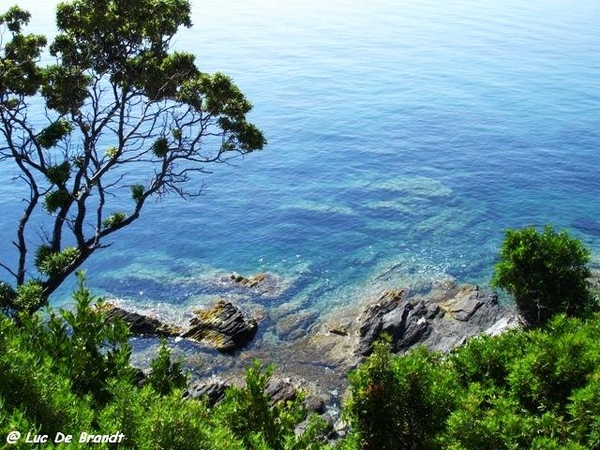 Corsica Corse