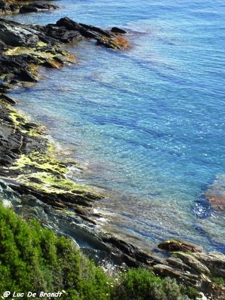 Corsica Corse