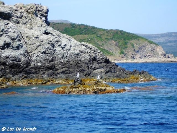 Corsica Corse