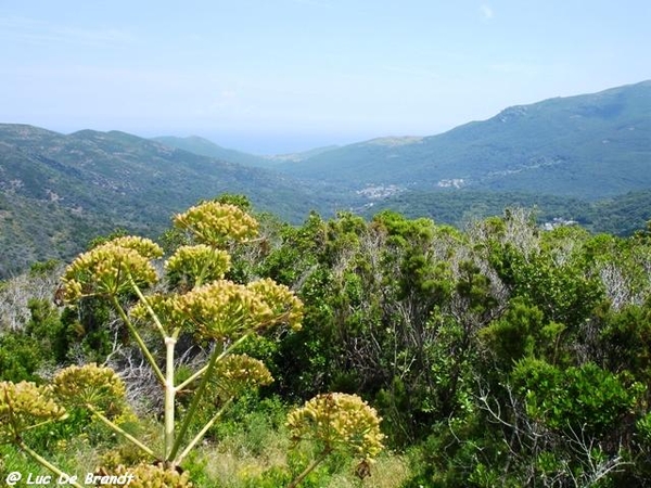 Corsica Corse