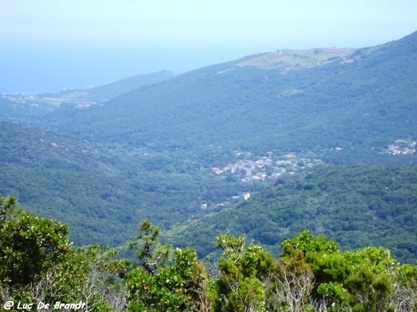 Corsica Corse