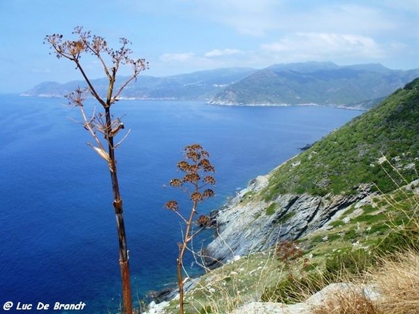 Corsica Corse