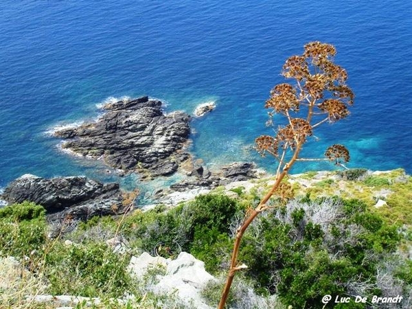 Corsica Corse