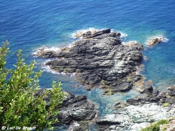 Corsica Corse