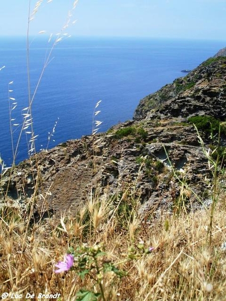 Corsica Corse