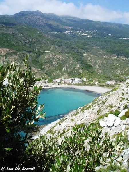 Corsica Corse