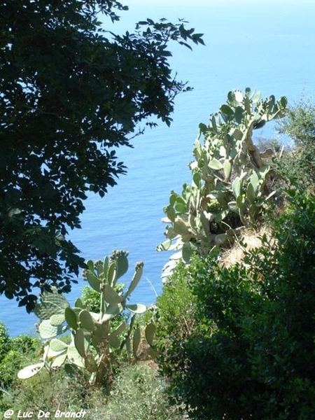 Corsica Corse