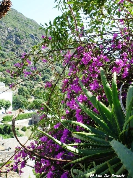 Corsica Corse
