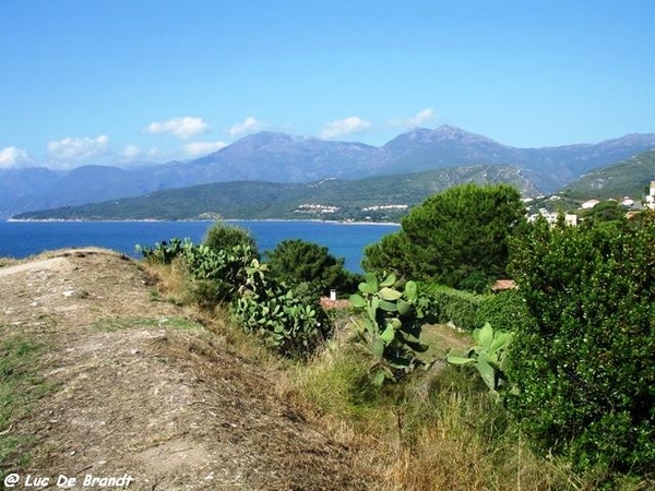 Corsica Corse