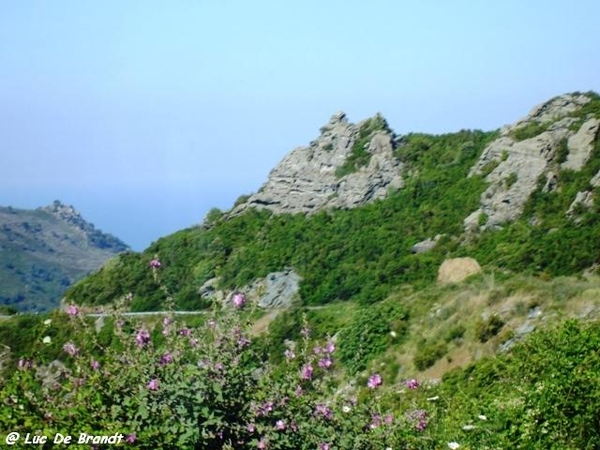 Corsica Corse