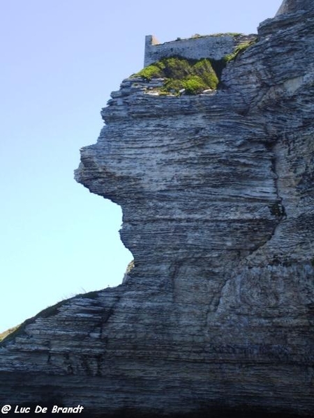Corsica Corse
