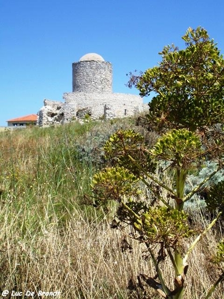 Corsica Corse