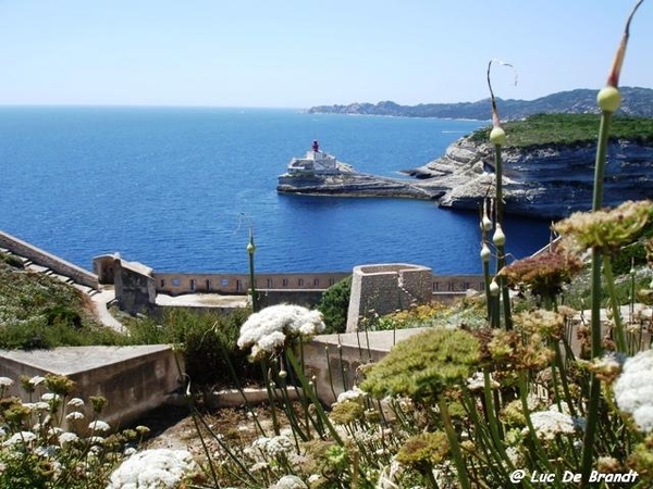 Corsica Corse
