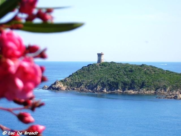 Corsica Corse