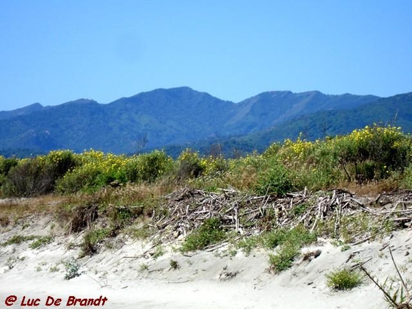 Corsica Corse