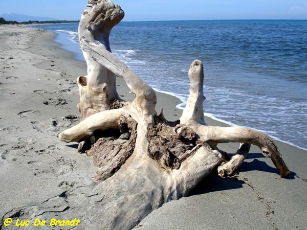 Corsica Corse