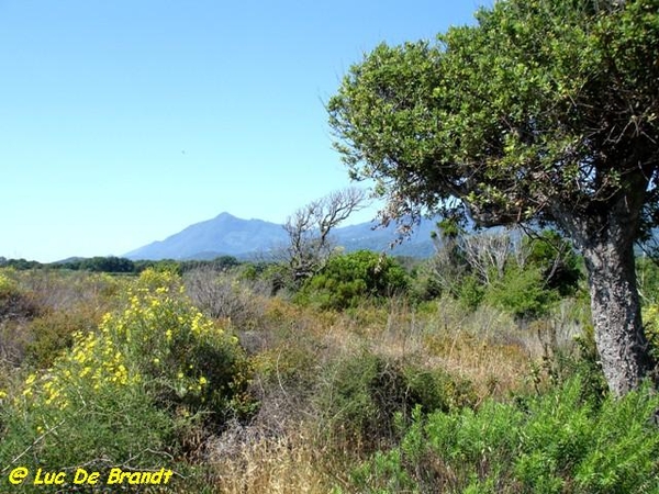 Corsica Corse