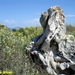 2009_05_31 San Pellegrino 75