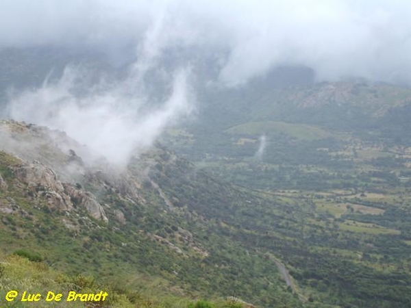 Corsica Corse