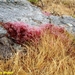 2009_06_01 024 Balagne