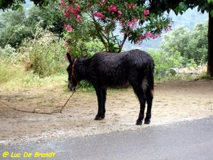 2009_06_01 032 Balagne