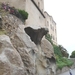 2009_06_01 042 Calvi