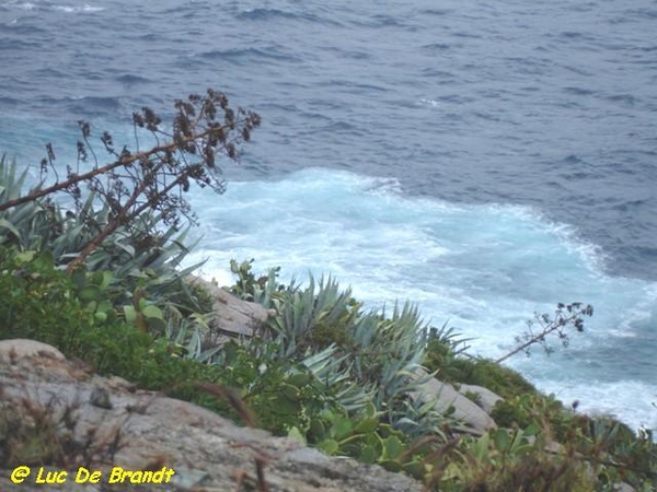 Corsica Corse