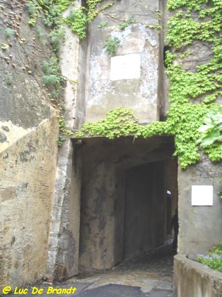 Corsica Corse