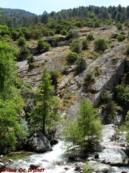 Corsica Corse