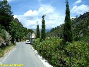 2009_06_02 110 valle de la Restonica