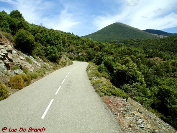 Corsica Corse