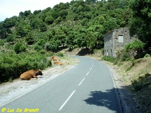 2009_06_02 120 Castagnicia