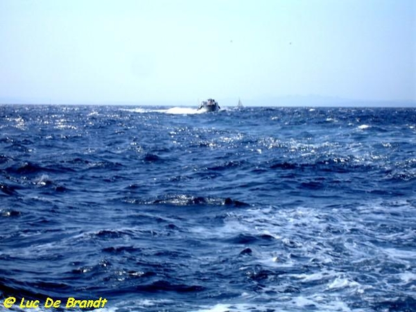 Corsica Corse