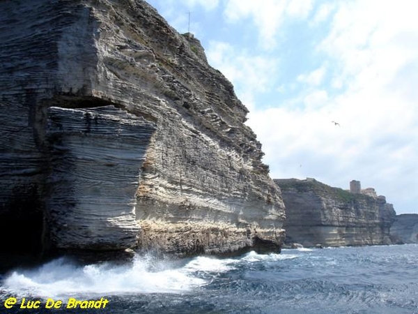Corsica Corse