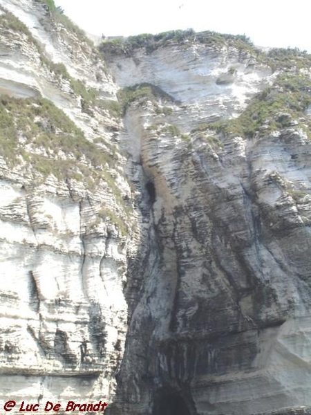 Corsica Corse