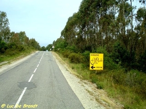 2009_06_05 Alria 01 Mavela