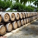 2009_06_05 Alria 02 Mavela