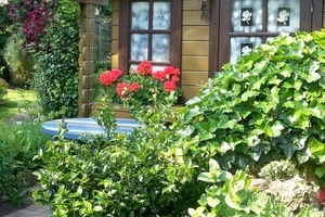 De tuin 2009