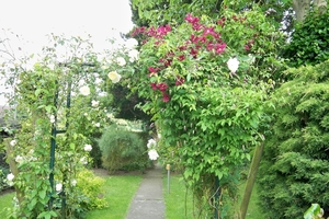 De doorgang met rozen en clematis