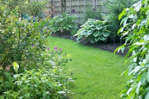Groene kleuren ook mooi