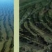 crossbeds