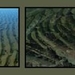 crossbeds2